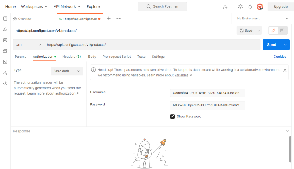 Postman Request Window
